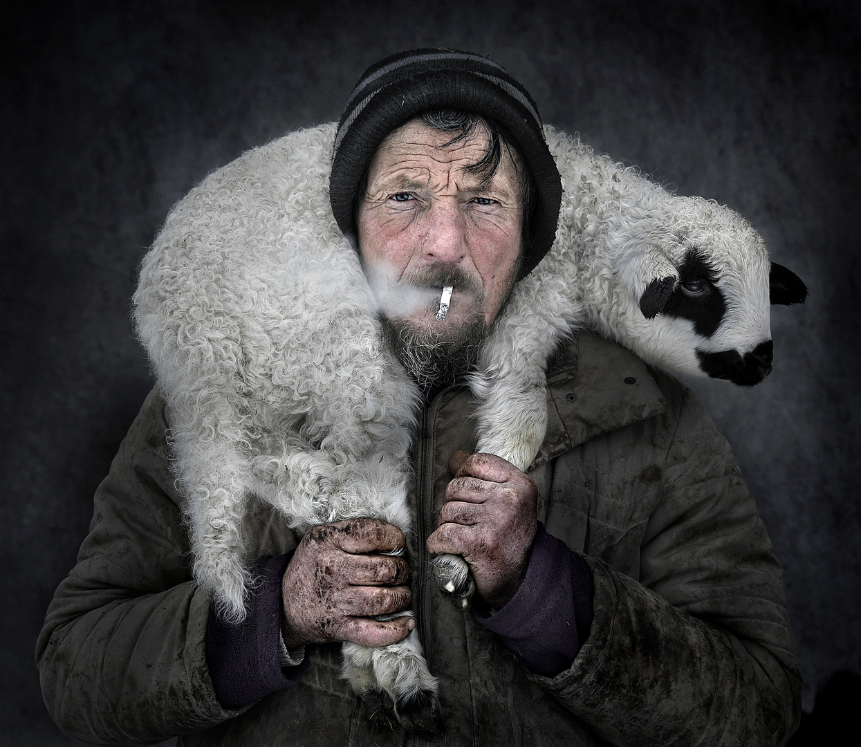 Istvan Kerekes (Hungary) Life with lamb